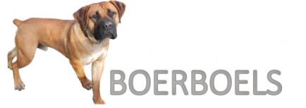 Skyland Boerboels